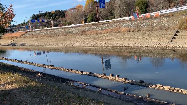 （再掲載）感動の茨城県水戸市！の記事動画