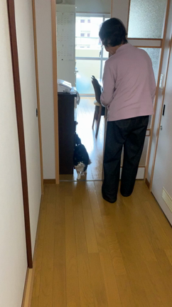 ごんぼさんに会ってきました♪の記事動画