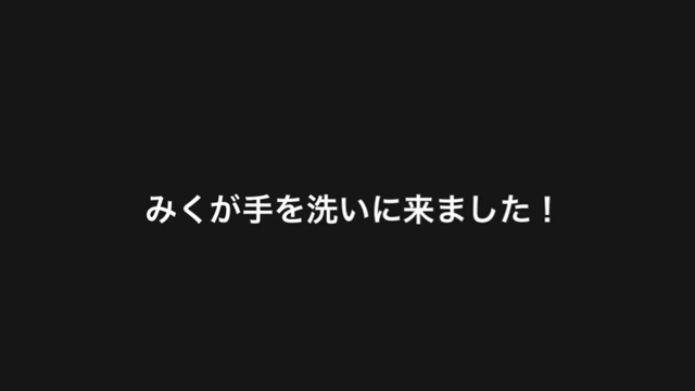 みくと猫。の記事動画