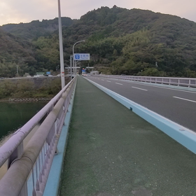 仁淀川八天大橋から魚の画像