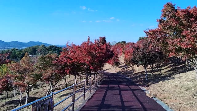 少し暑さにの記事動画