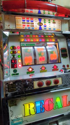 リーガル７Ｌで遊びました。の記事動画