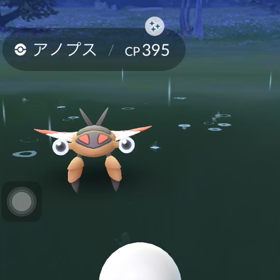 アノプスイロチ来たーの画像