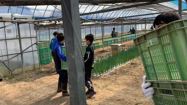 生活合宿3日目❗の記事動画