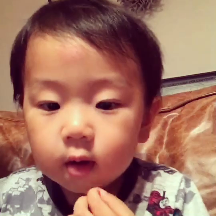 ガラじゃないですが。の記事動画