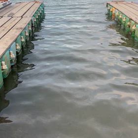 魚の活性良！の画像