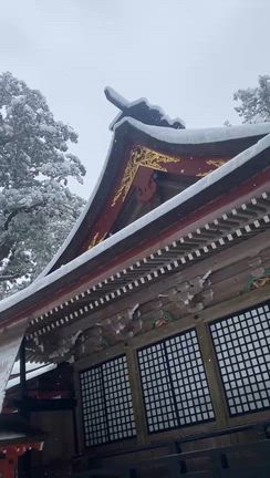 雪の鹿島神宮の記事動画