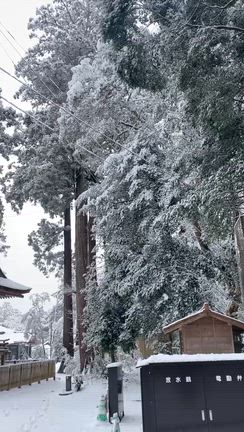 雪の鹿島神宮の記事動画
