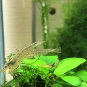 初投稿の画  像