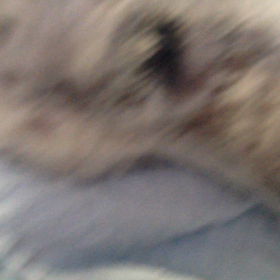 1日1日が奇跡ですの画像