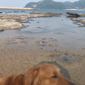 寝つきが悪い人の画像