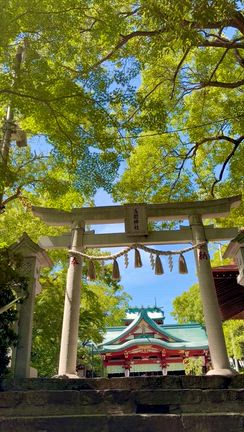 ●第１チャクラが元気だと必要なご縁、出来事と引き合える♪流れを逃さず即決♪を体感した888の日の記事動画