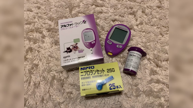 グルコースメーター | フェレットのくるみあんずここな