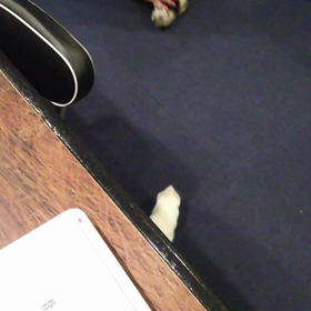 まだまだ元気❗の画像