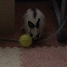ピッチャー投げた！！の画像