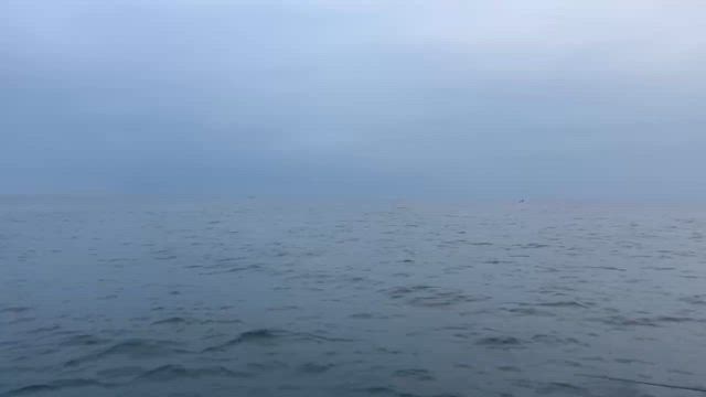 伊勢湾奥サワラキャスティング午前便‼️2025.10.25の記事動画