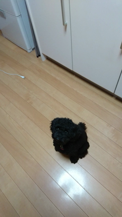 寒くなりましたね❗の記事動画