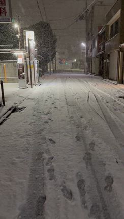雪が降ったら口づさむ歌ランキングの記事動画