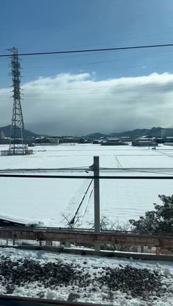 雪の京都、熱の東京の記事動画