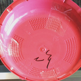韓国で苺を買ったら容器が一緒についてきた^ - ^の画像