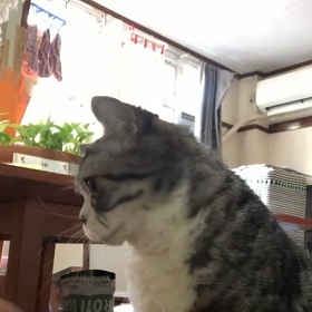 2018/03/22の画像