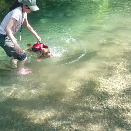 夏のあいだの遊びの記事動画