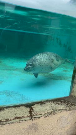 水族館と日帰り温泉にの記事動画