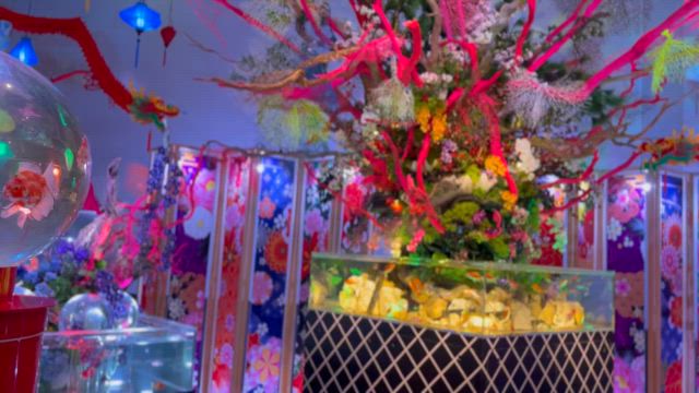 金魚ミュージアムに行ってきたよの記事動画