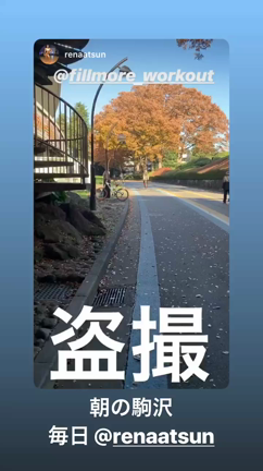 in komazawaの記事動画