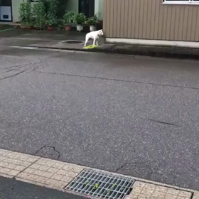 よん？の画像