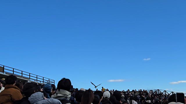 那須塩原へ移動しました PART 2♪の記事動画