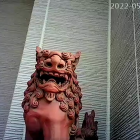ショック⤵️⤵️の画像