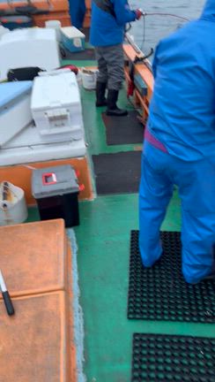 即HITの記事動画