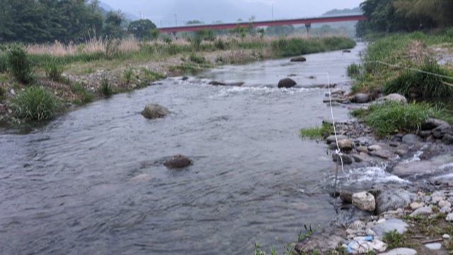 川の状況の記事動画