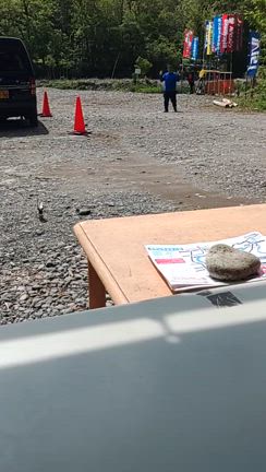 鳥の後ろに人影が、、、の記事動画