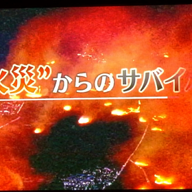本日23時〜NHK生きるスキルに出演します‼️の画像
