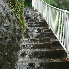 滝の画像
