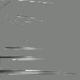  隼ガニーさん真後ろからの画像