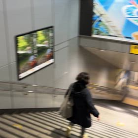 独走の画像