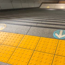 今日はお休みらしいの画像