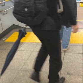 今朝も食らいつきましたの画像