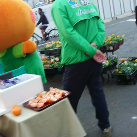 なんかいた！の画像