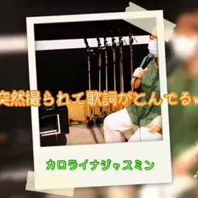 カロライナジャスミンの画像