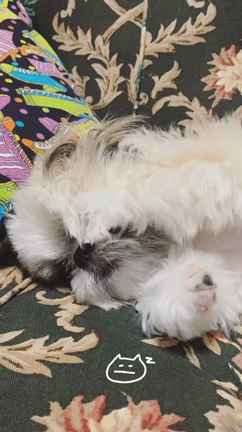 今日のうぉんくん♡の記事動画