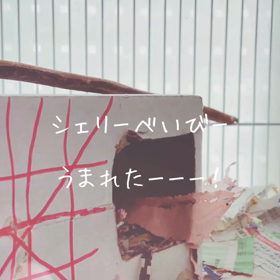第一号誕生しました！の画像