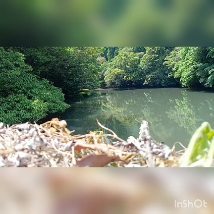 世界記録？と、奇跡の記事動画