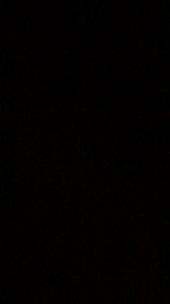 グロッケンとの戯れの記事動画