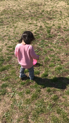 1歳7ヶ月　最近の成長まとめと流血事件の記事動画