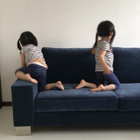すっかりの画像