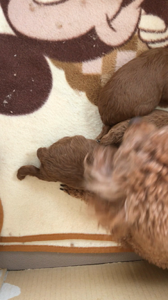 おはようございます！の記事動画